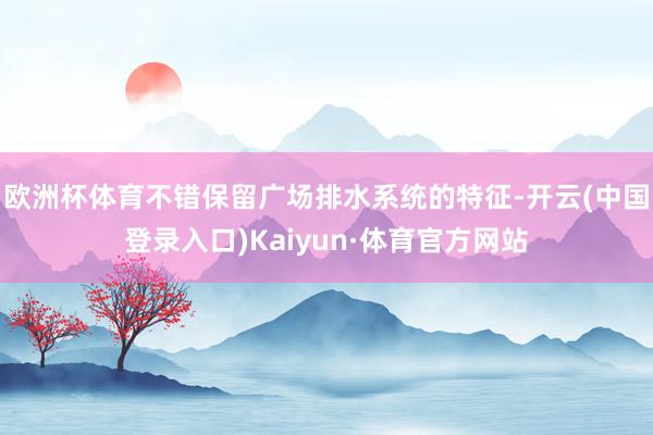 欧洲杯体育不错保留广场排水系统的特征-开云(中国登录入口)Kaiyun·体育官方网站