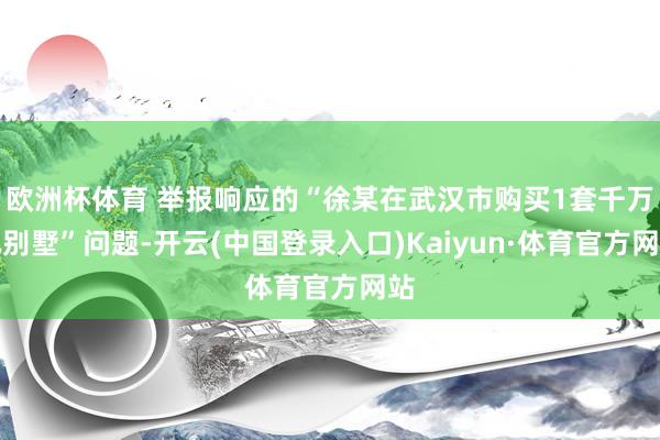 欧洲杯体育 举报响应的“徐某在武汉市购买1套千万元别墅”问题-开云(中国登录入口)Kaiyun·体育官方网站