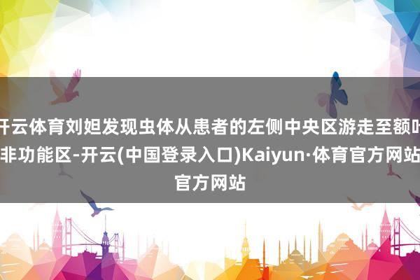 开云体育刘妲发现虫体从患者的左侧中央区游走至额叶非功能区-开云(中国登录入口)Kaiyun·体育官方网站