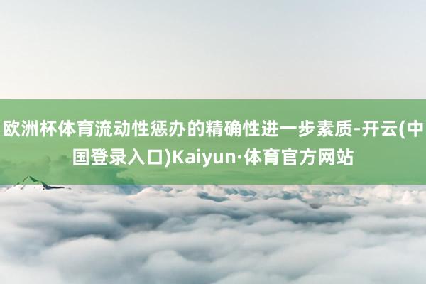 欧洲杯体育流动性惩办的精确性进一步素质-开云(中国登录入口)Kaiyun·体育官方网站