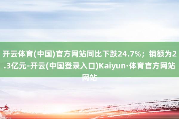 开云体育(中国)官方网站同比下跌24.7%；销额为2.3亿元-开云(中国登录入口)Kaiyun·体育官方网站
