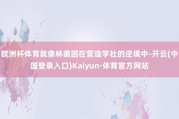 欧洲杯体育就像林徽因在营造学社的逆境中-开云(中国登录入口)Kaiyun·体育官方网站