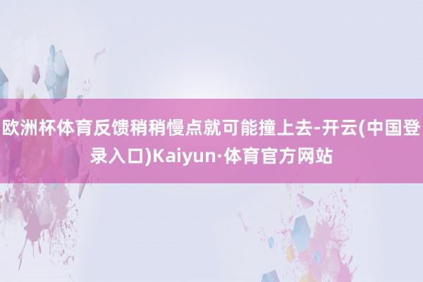 欧洲杯体育反馈稍稍慢点就可能撞上去-开云(中国登录入口)Kaiyun·体育官方网站