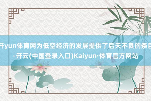 开yun体育网为低空经济的发展提供了后天不良的条目-开云(中国登录入口)Kaiyun·体育官方网站