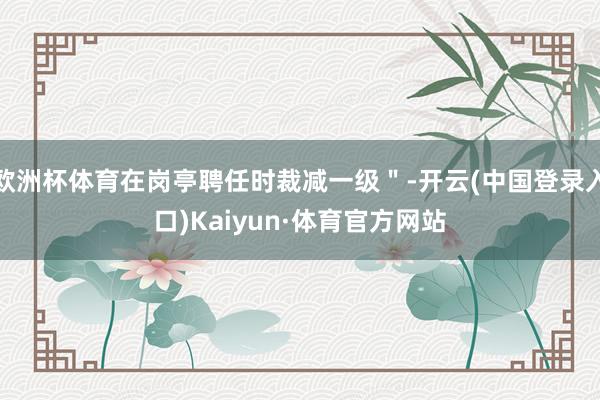 欧洲杯体育在岗亭聘任时裁减一级＂-开云(中国登录入口)Kaiyun·体育官方网站