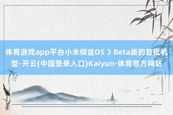 体育游戏app平台小米倾盆OS 3 Beta版的首批机型-开云(中国登录入口)Kaiyun·体育官方网站