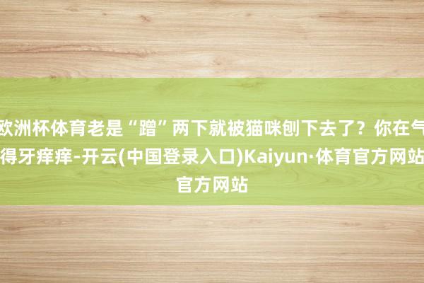 欧洲杯体育老是“蹭”两下就被猫咪刨下去了？你在气得牙痒痒-开云(中国登录入口)Kaiyun·体育官方网站